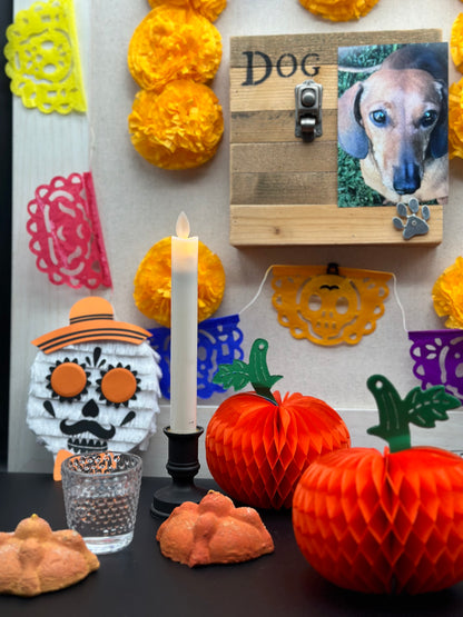 Set Ofrenda Día de Muertos