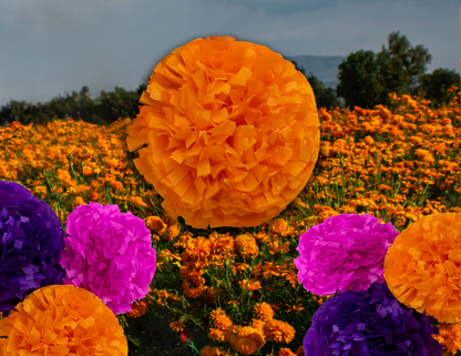 Flores de Cempasuchil