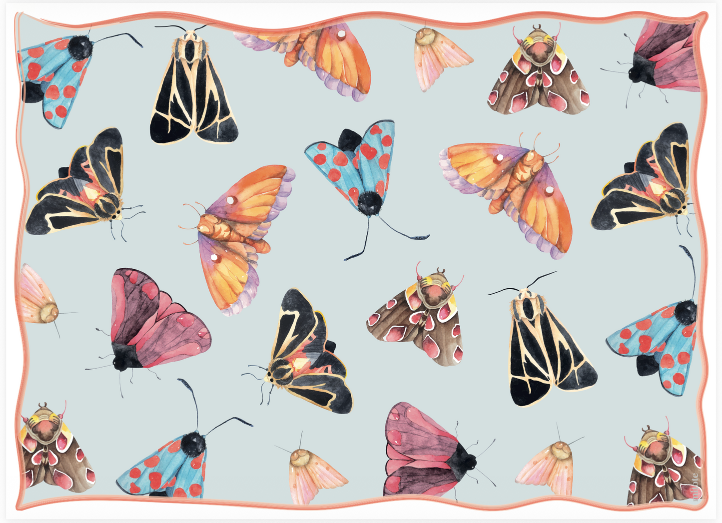 Individuales Polillas