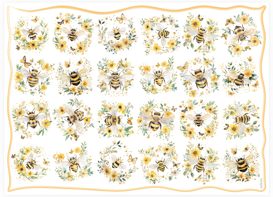 Individuales Abejas