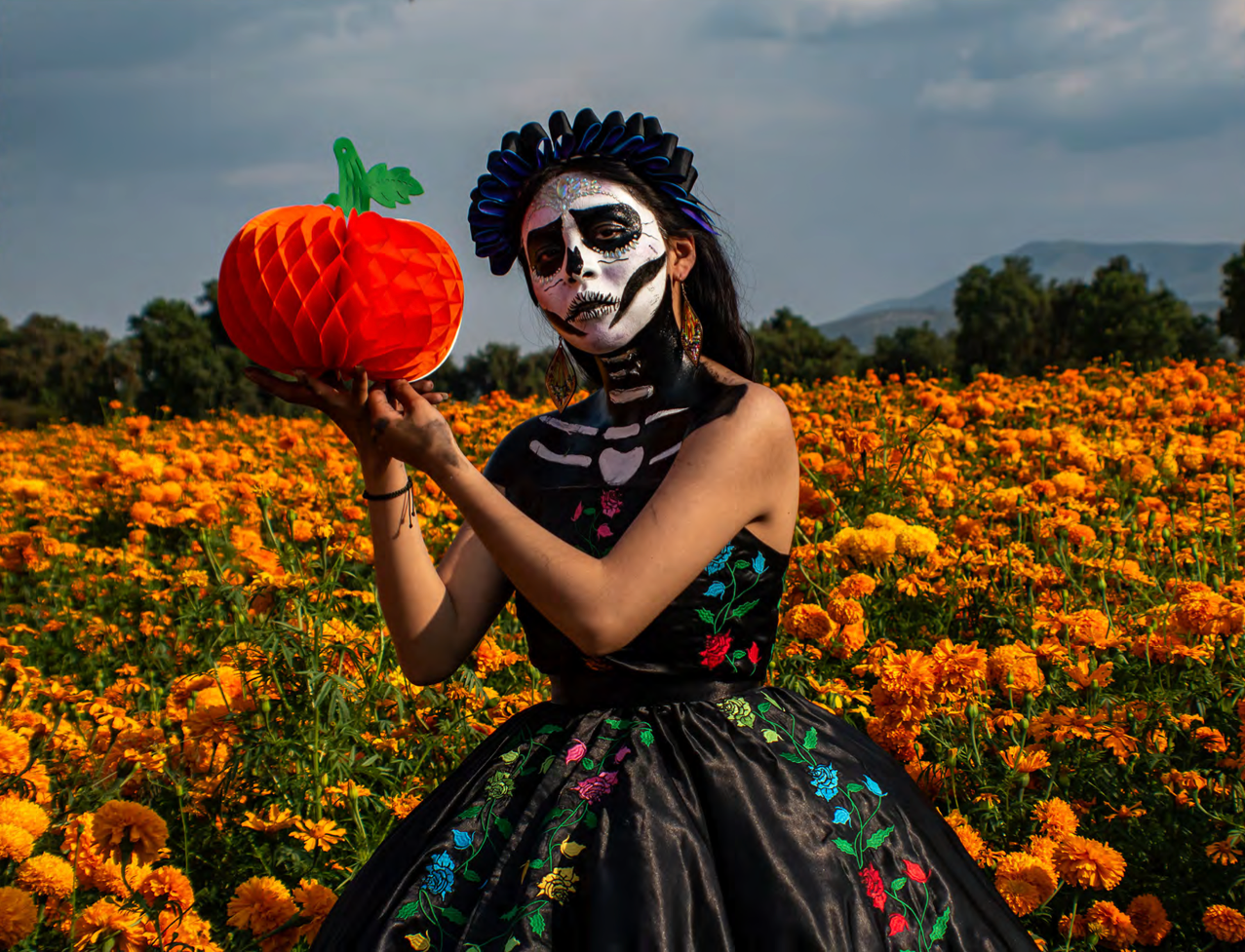 Calabazas de Papel